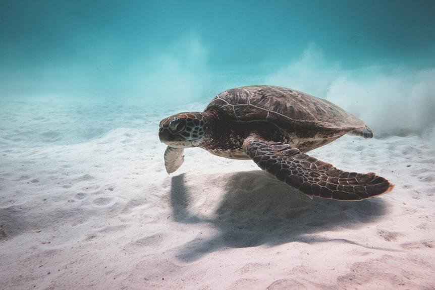 Le paradis aviaire de Chypre exploré